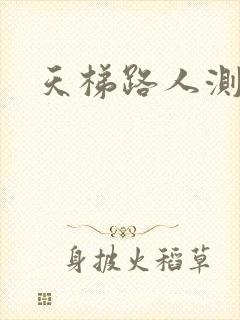 天梯路人测试器