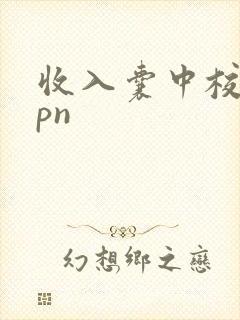 收入囊中校园hpn