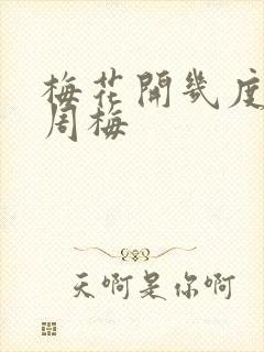 梅花开几度老张周梅