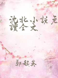 沈北小说免费阅读全文