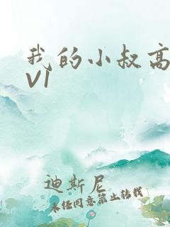 我的小叔高H1V1