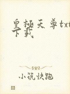 皇极天尊txt下载