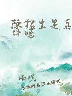 陈铭生是真实事件吗