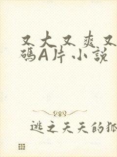 又大又爽又黄无码A片小说