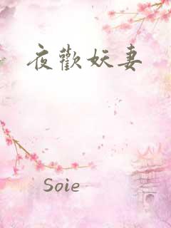 夜欢妖妻