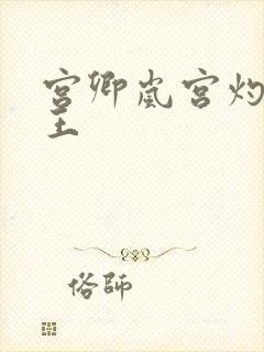 宫卿岚宫灼摄政王