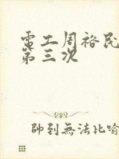 电工周裕民刘芳第三次