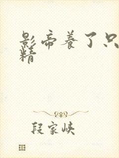 影帝养了只兰花精