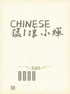 CHINESE猛1浪小辉