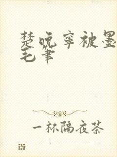 楚晚宁被墨燃塞毛笔