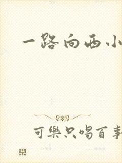 一路向西小说