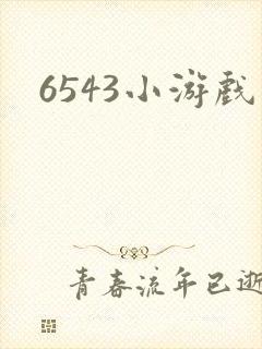 6543小游戏