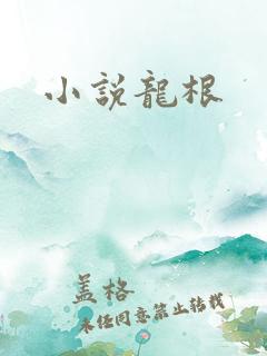小说龙根