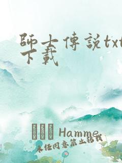 师士传说txt下载