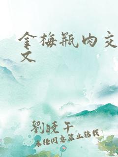 金梅瓶肉交白话文