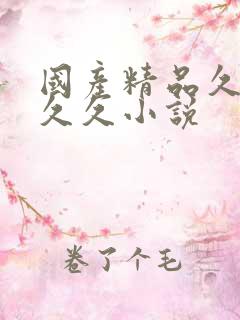 国产精品久久久久久小说