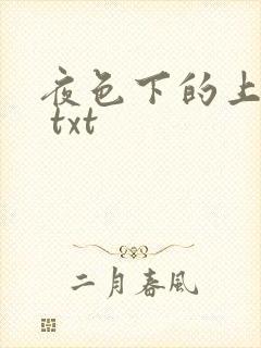 夜色下的上海滩 txt