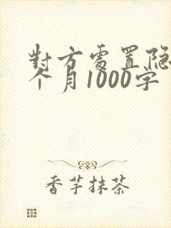 对方处置隐私一个月1000字