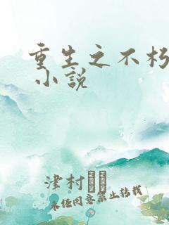 重生之不朽传奇 小说