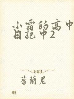 小霜的高中成长日记中2