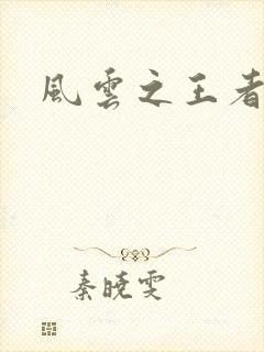 风云之王者人生