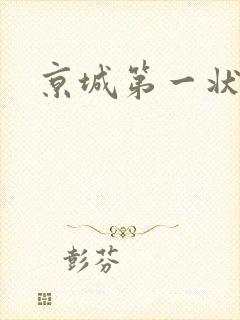 京城第一状师