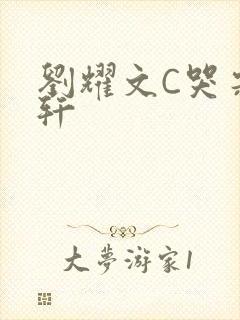 刘耀文C哭宋亚轩