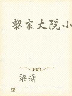 黎家大院小说