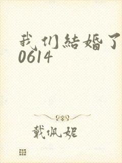 我们结婚了130614