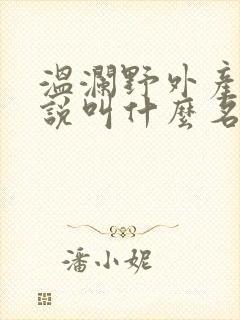 温澜野外产子小说叫什么名字