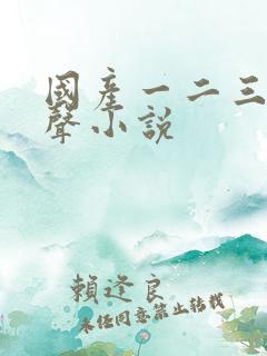 国产一二三区有声小说