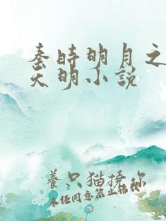 秦时明月之夜尽天明小说