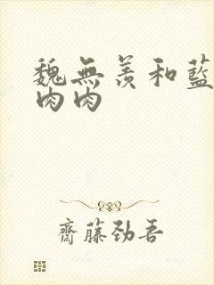 魏无羡和蓝忘机肉肉