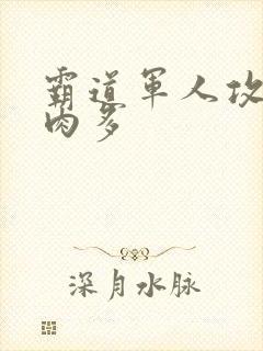 霸道军人攻现代肉多