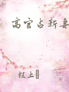 高官占新妻