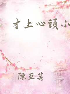 才上心头小说