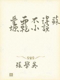 爱而不得苏路顾塬乾小说