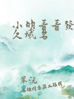 小明看看发布永久域名