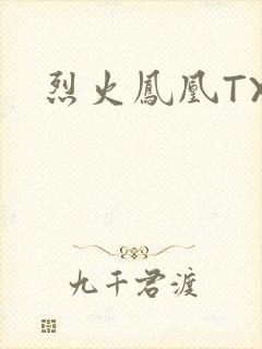 烈火凤凰TXT