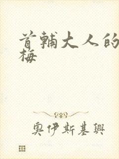 首辅大人的小青梅