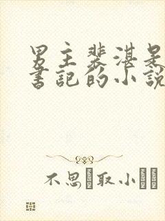 男主裴湛是省委书记的小说