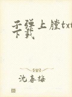 子弹上膛txt下载