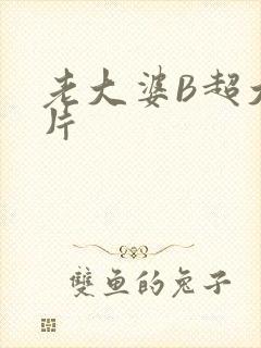 老大婆B超大图片