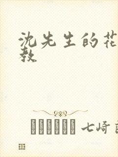 沈先生的花式调教