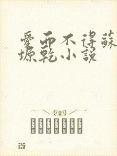 爱而不得苏路顾塬乾小说