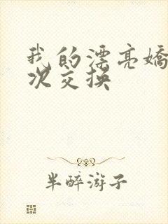 我的漂亮娇妻初次交换