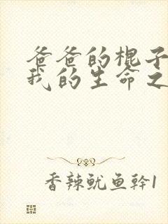 爸爸的棍子顶着我的生命之门