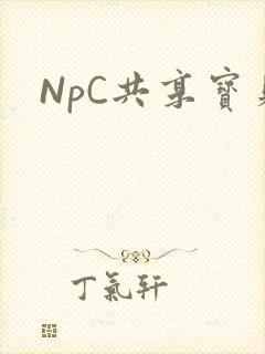 NpC共享宝贝