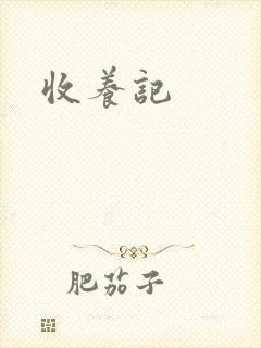 收养记
