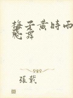 梅子黄时雨流光飞舞